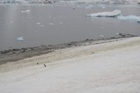 
DSC00063